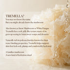单罐 Tremella Essence Pad — William 团购