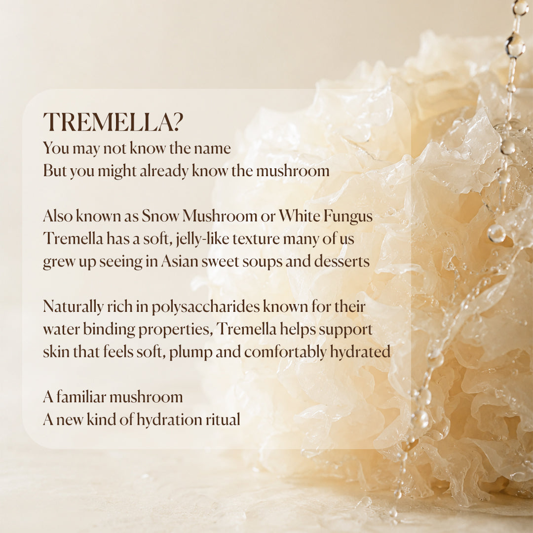 单罐 Tremella Essence Pad — William 团购